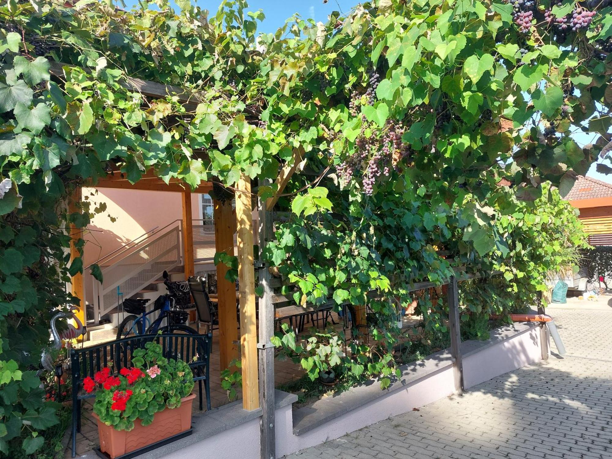 Ferienwohnung Gerti بينكافيلد المظهر الخارجي الصورة